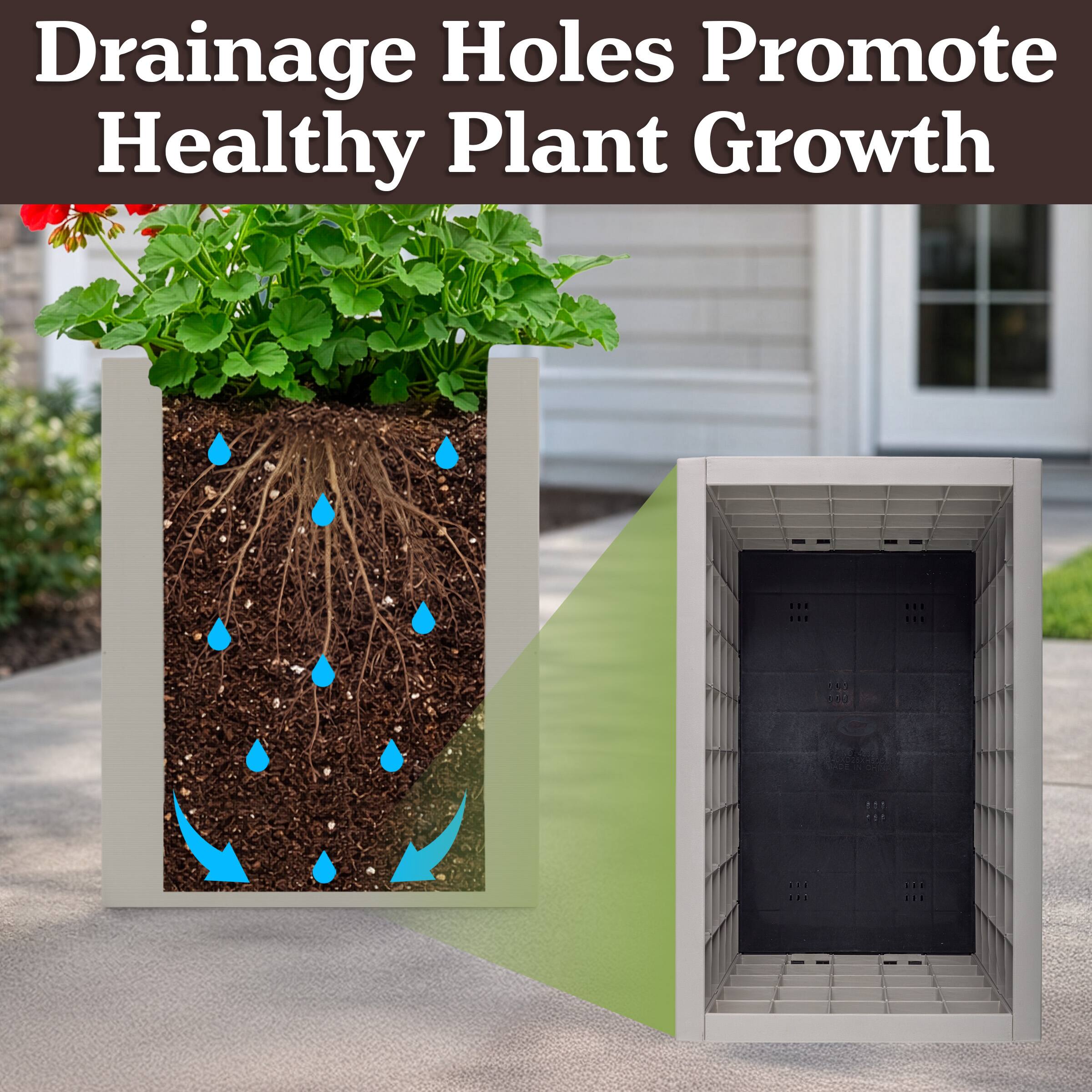 Drainage Holes Promote Healthy Plant Growth