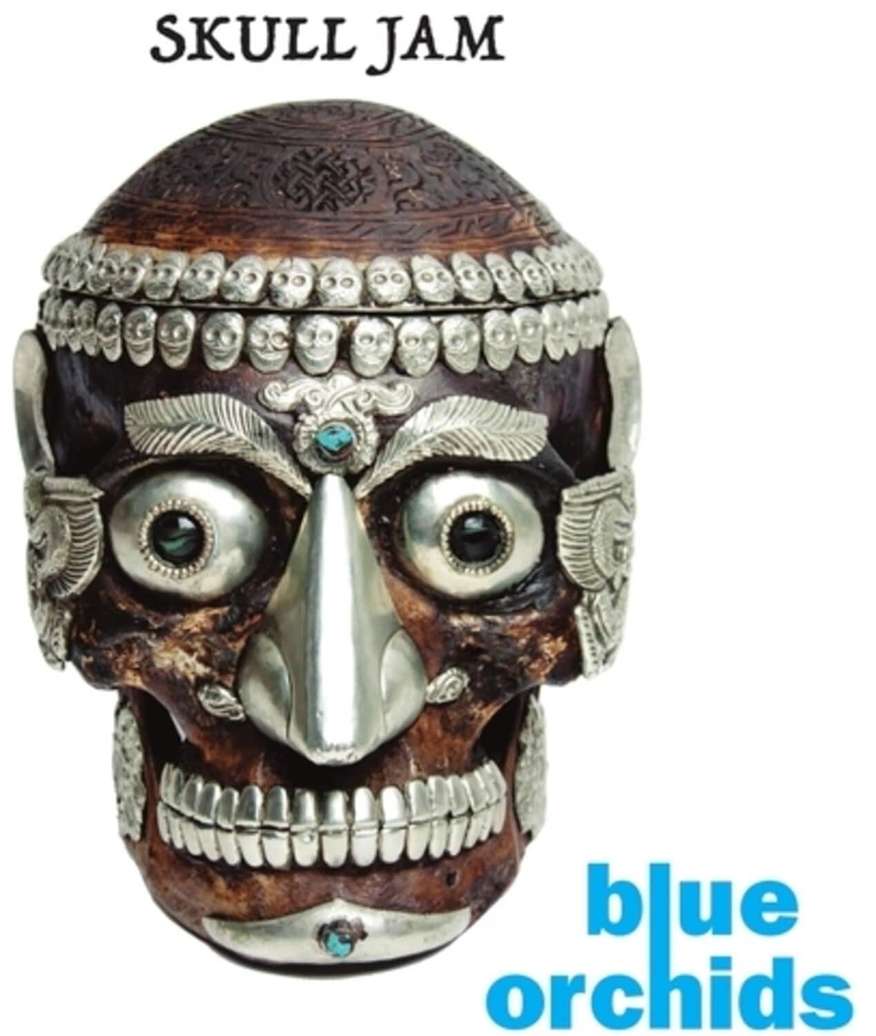 The Blue Orchids - Skull Jam - 10   - VINYL LP price history on PriceWatchPro