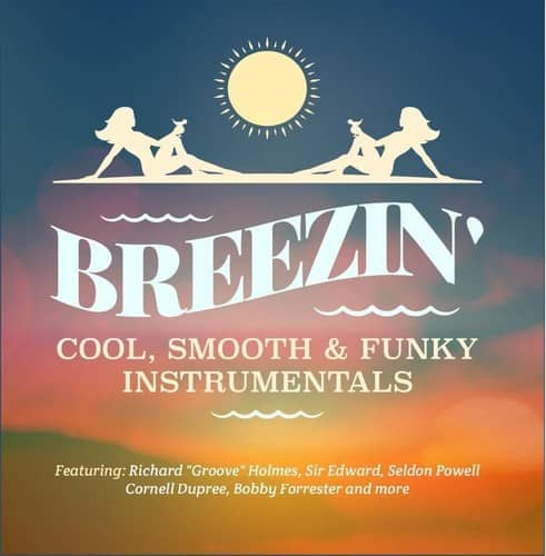 Various Artists - Breezin - Cool, Smooth & Funky Instrumentals   - COMPACT DISCS [CD] price history on PriceWatchPro