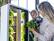 Alt View 10. Just Vertical - EVE Tower Garden | Hydroponic Growing System | Grow Fresh Herbs & Vegetables Year-Round | Fully Assembled - Walnut.