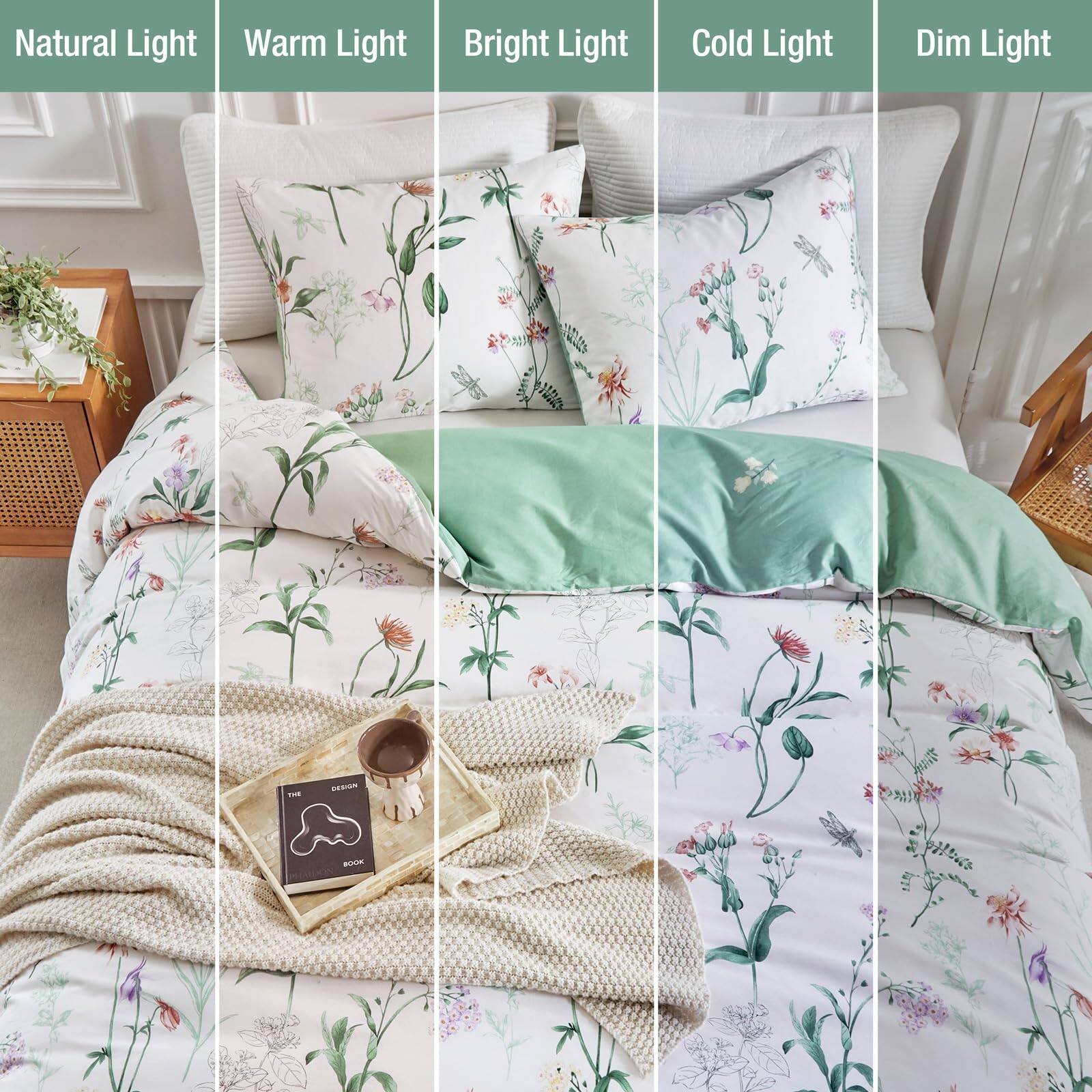 Natural Light  
Warm Light  
Bright Light  
Cold Light  
Dim Light