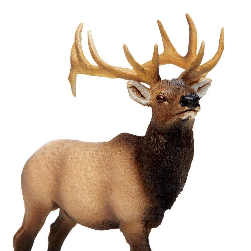 Angle. Safari Ltd. - Elk Bull Toy Figurine.
