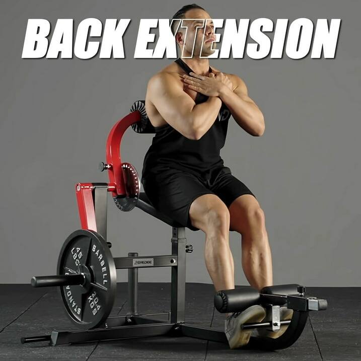 Sae Back Syedee Seated AB Curl/ Back Extension Machine, Plate Loaded Machine ...