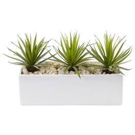 BreeBe - 8" Mini Spiked Agave Succulent in Rectangular Planter - Green