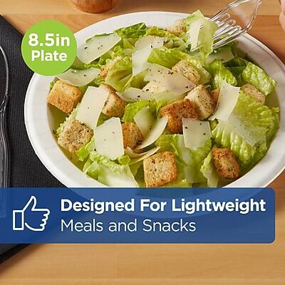 8.5in Plate  
Designed For Lightweight Meals and Snacks