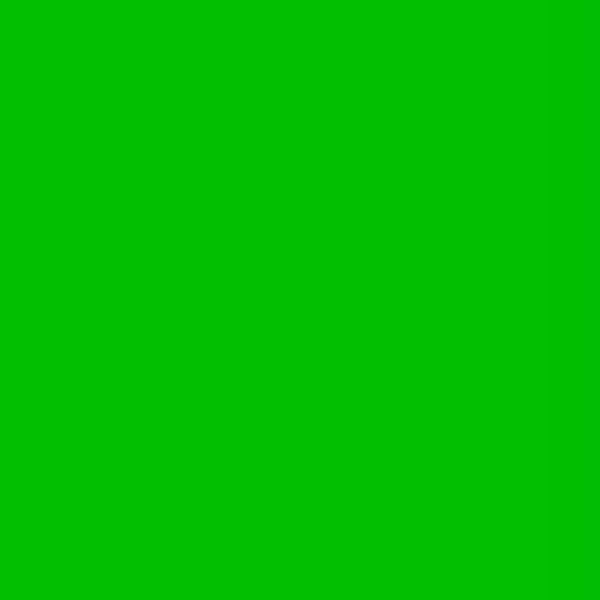 "Lee Filters - Dark Yellow Green 24x21"" Gel Filter Sheet" price history on PriceWatchPro