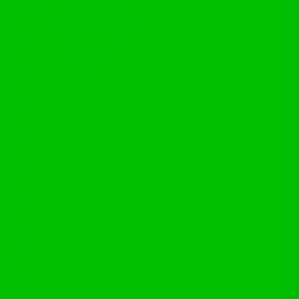 Front. Lee Filters - Lee Filters Dark Yellow Green 24x21" Gel Filter Sheet.