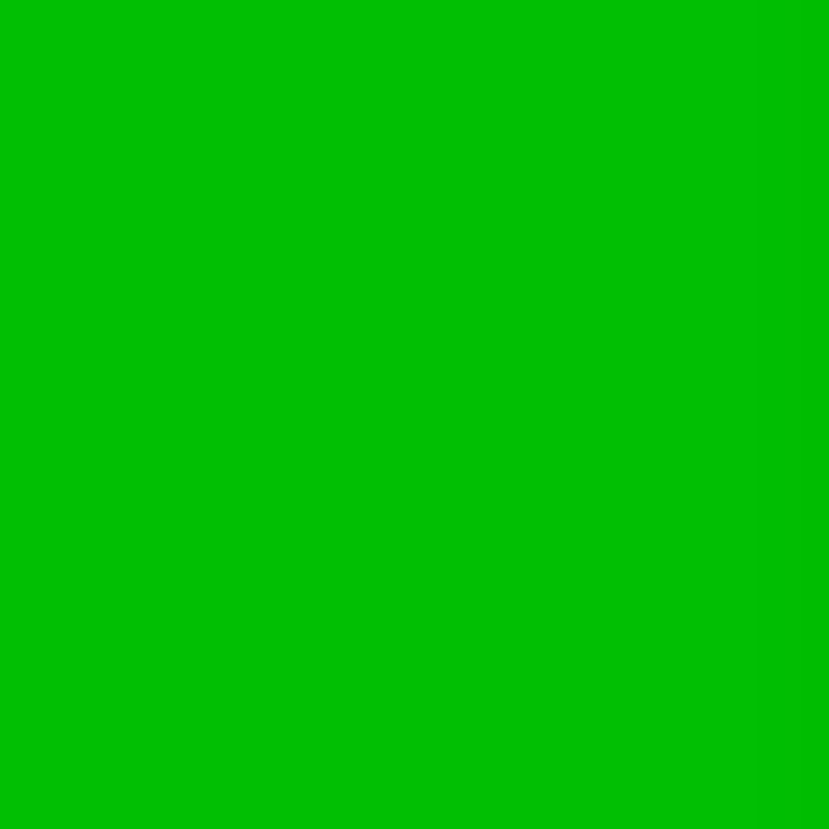Front. Lee Filters - Lee Filters Dark Yellow Green 24x21" Gel Filter Sheet.