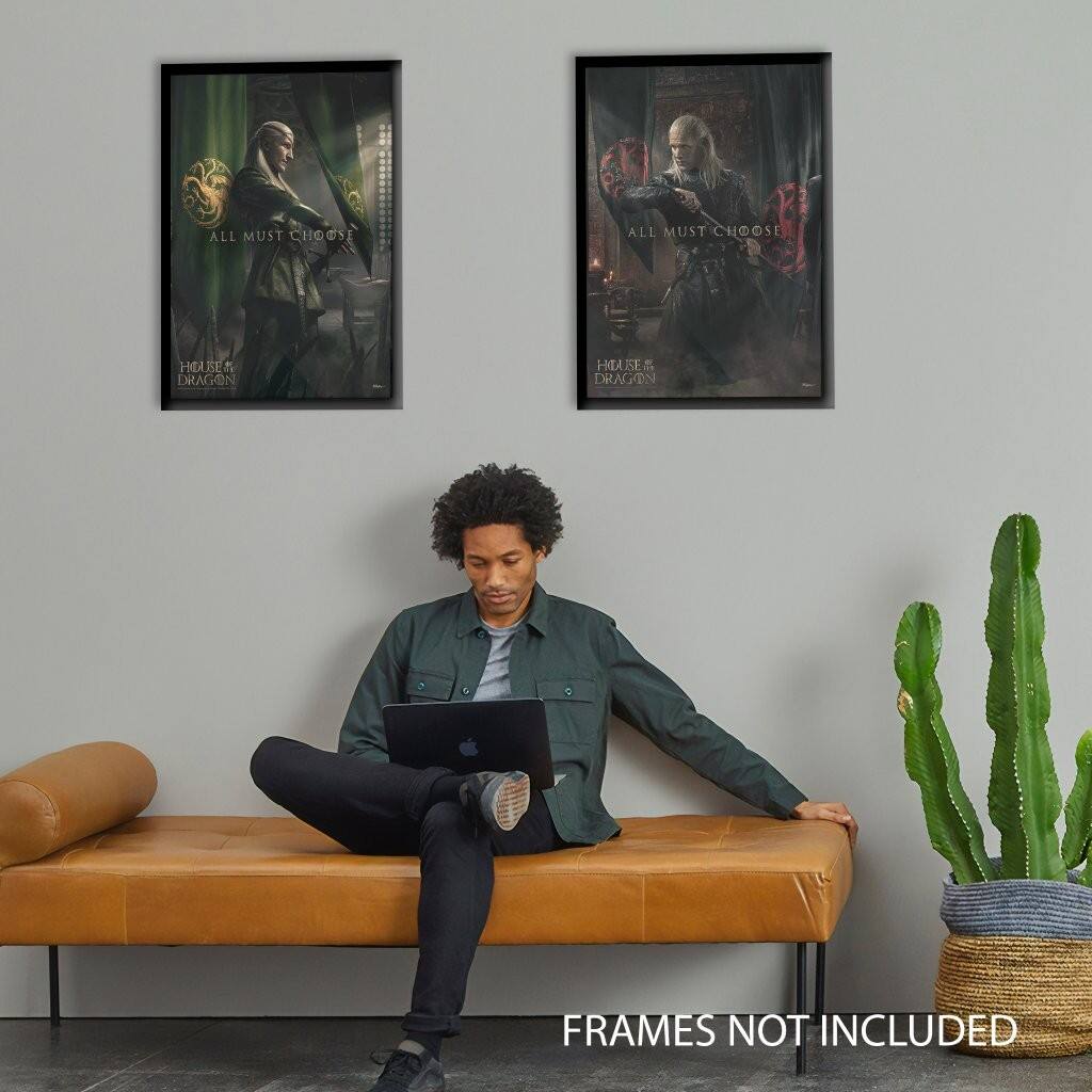 ALL MUST CHOOSE  
HOUSE OF DRAGON  
FRAMES NOT INCLUDED