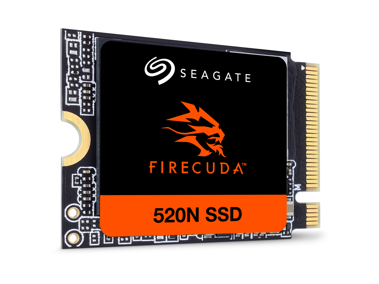 SEAGATE™ FIRECUDATM 520N SSD