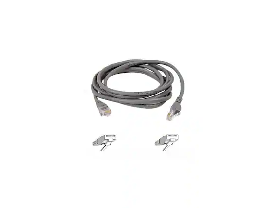 C Golen Keyl Sn JTE COR Petkin.com Nad cnn RIeH 2036213 STH D CONSION 3E0089