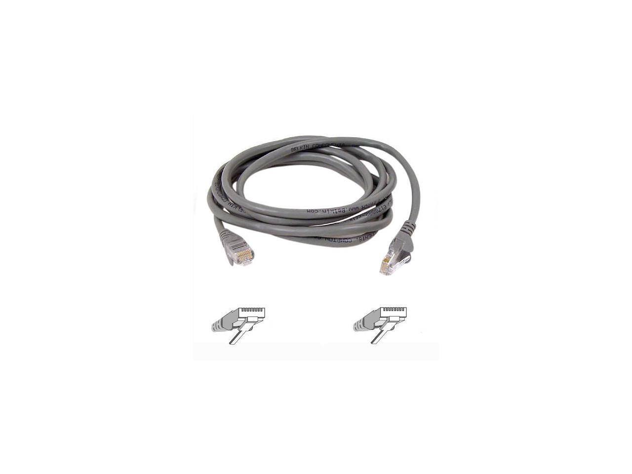 C Golen Keyl Sn JTE COR Petkin.com Nad cnn RIeH 2036213 STH D CONSION 3E0089