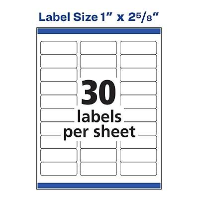 Label Size 1" x 2 5/8"  
30 labels per sheet