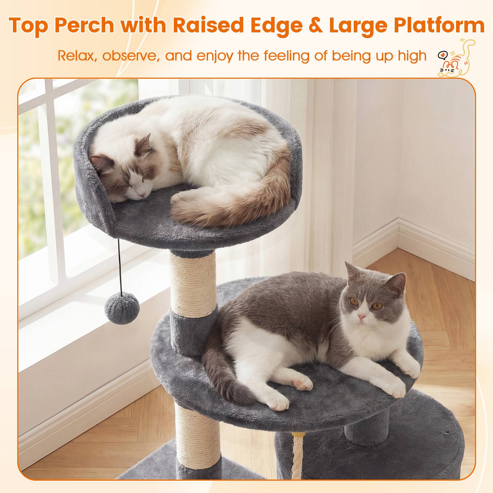 Top Perch with Raised Edge & Large Platform  
Relax, observe, and enjoy the feeling of being up high