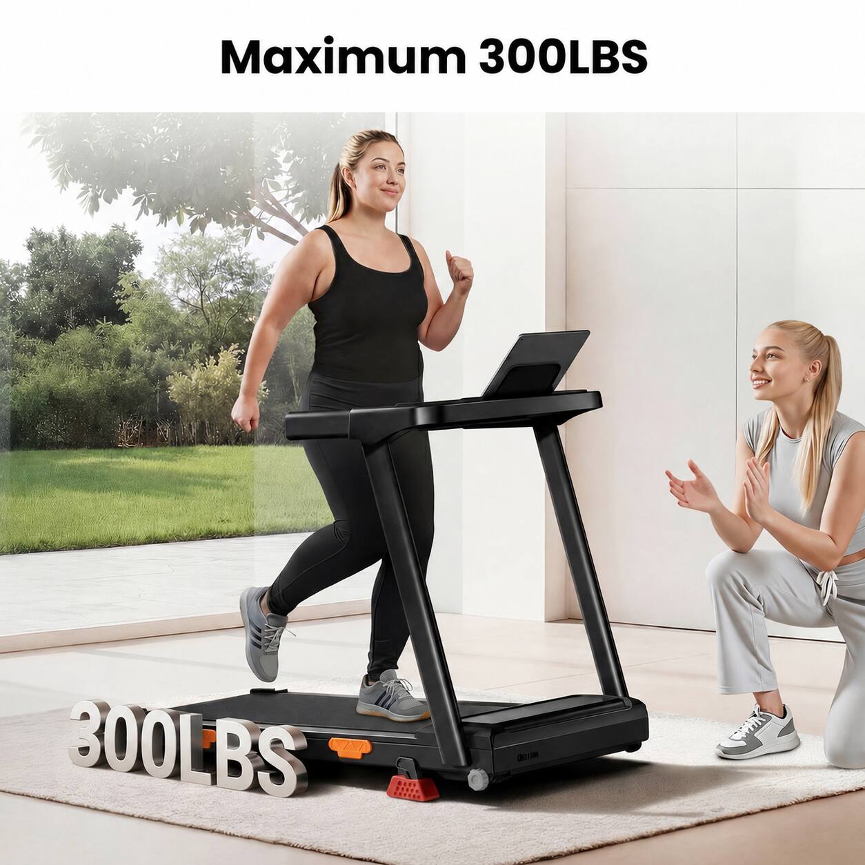 Maximum 300LBS  
300LBS
