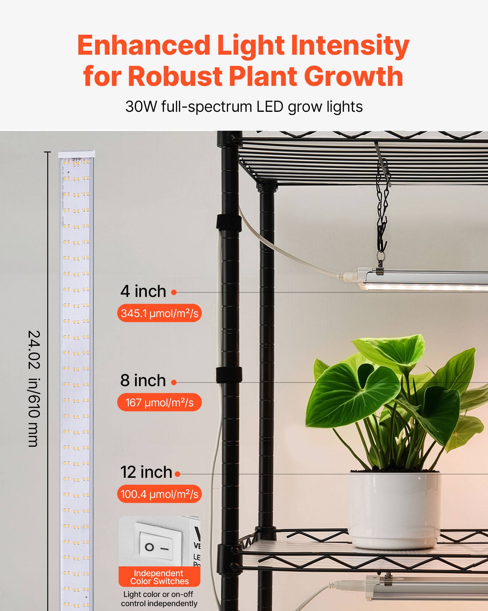 Enhanced Light Intensity for Robust Plant Growth  
30W full-spectrum LED grow lights  

24.02 in/610 mm  

4 inch  
345.1 μmol/m²/s  

8 inch  
167 μmol/m²/s  

12 inch  
100.4 μmol/m²/s  

Independent Color Switches  
Light color or on-off control independently