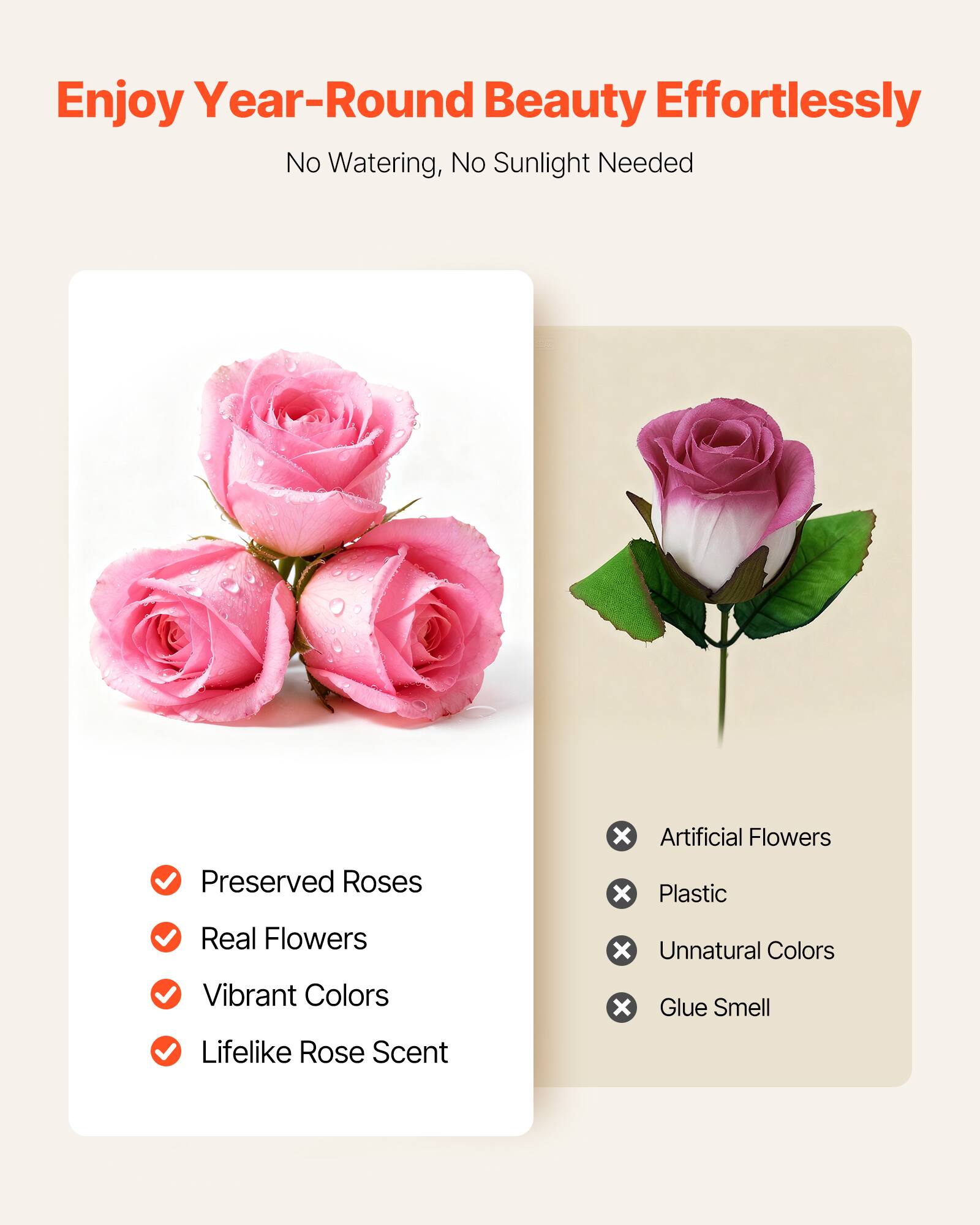 Enjoy Year-Round Beauty Effortlessly  
No Watering, No Sunlight Needed  

- Preserved Roses  
- Real Flowers  
- Vibrant Colors  
- Lifelike Rose Scent  

- Artificial Flowers  
- Plastic  
- Unnatural Colors  
- Glue Smell