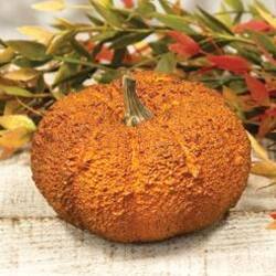 Angle. BreeBe - *Hallows Pumpkin 4" - Orange.