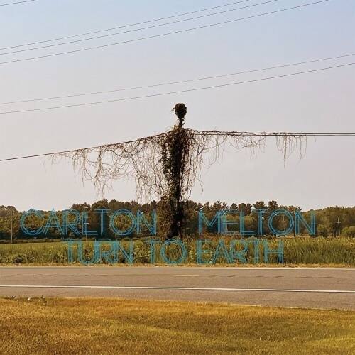 Turn to Earth [LP] [VINYL] price history on PriceWatchPro