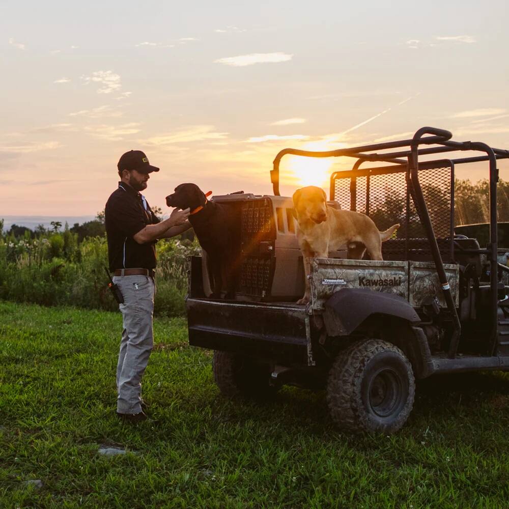 Alt View 4. Dogtra - EDGE RT 1-Mile Range Remote Dog Training E-Collar | Combination Boost Control and 3-Dog Expandable | 35 LBS and Up - Black.