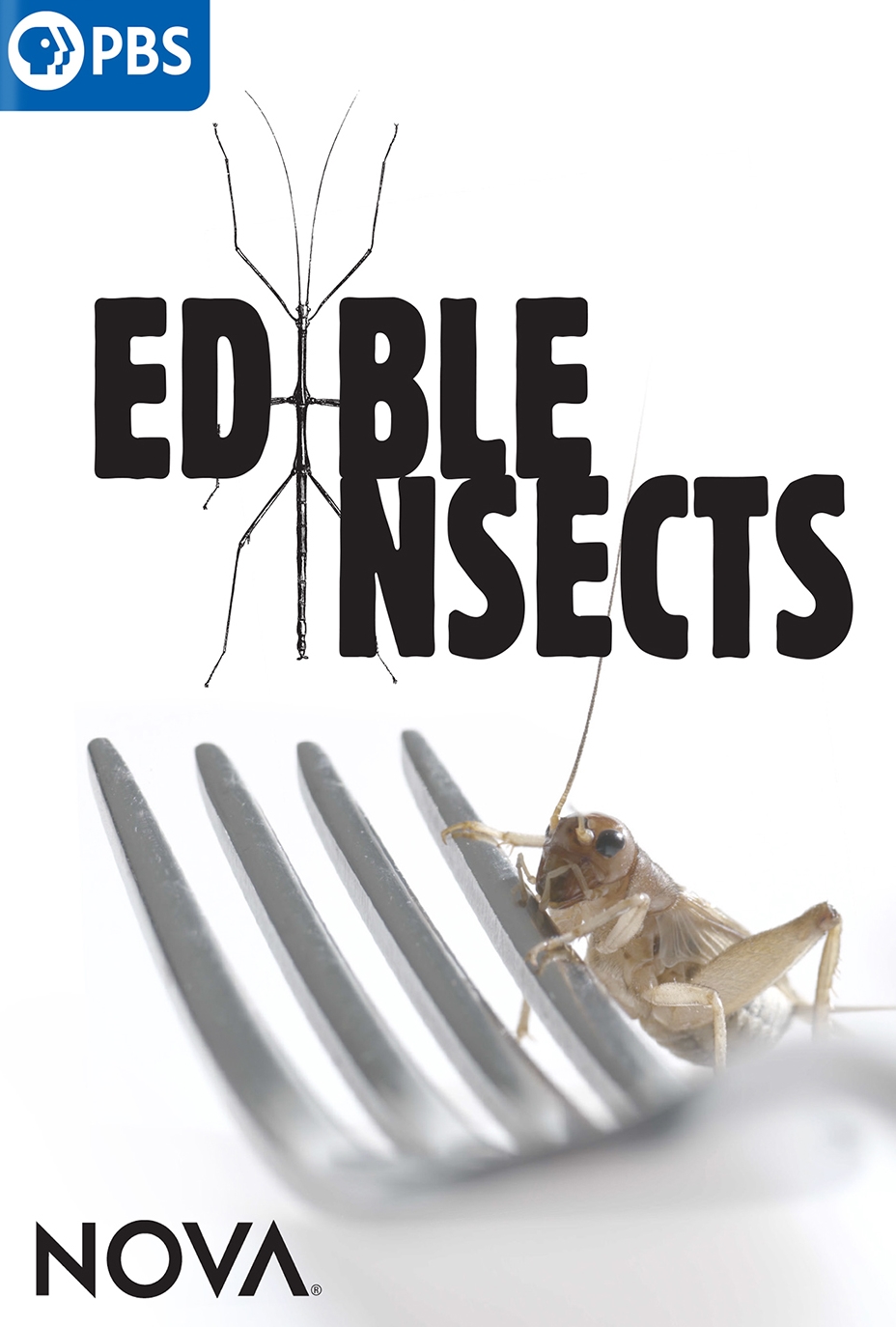 Best Buy: NOVA: Edible Insects