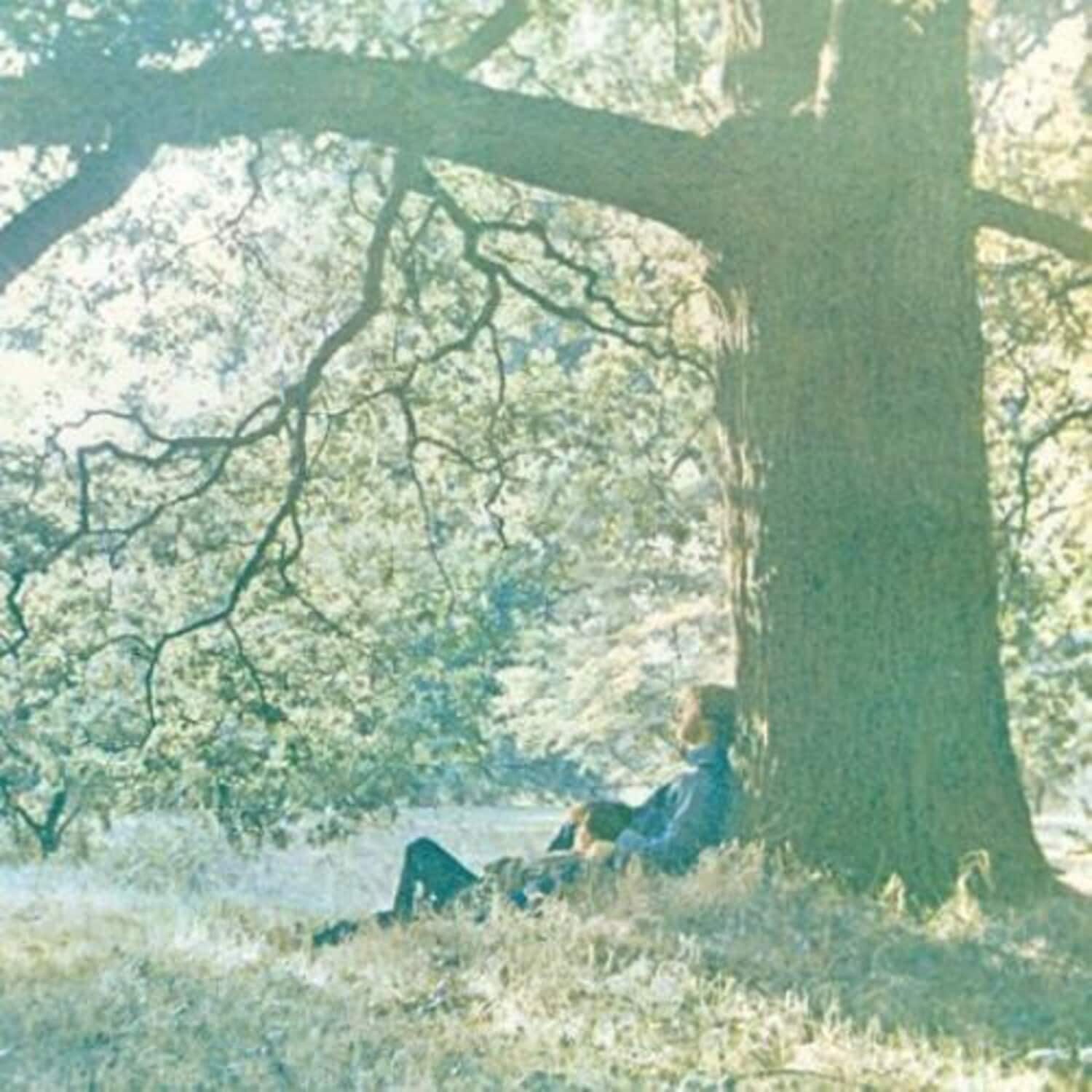 Yoko Ono - Plastic Ono Band  - VINYL LP