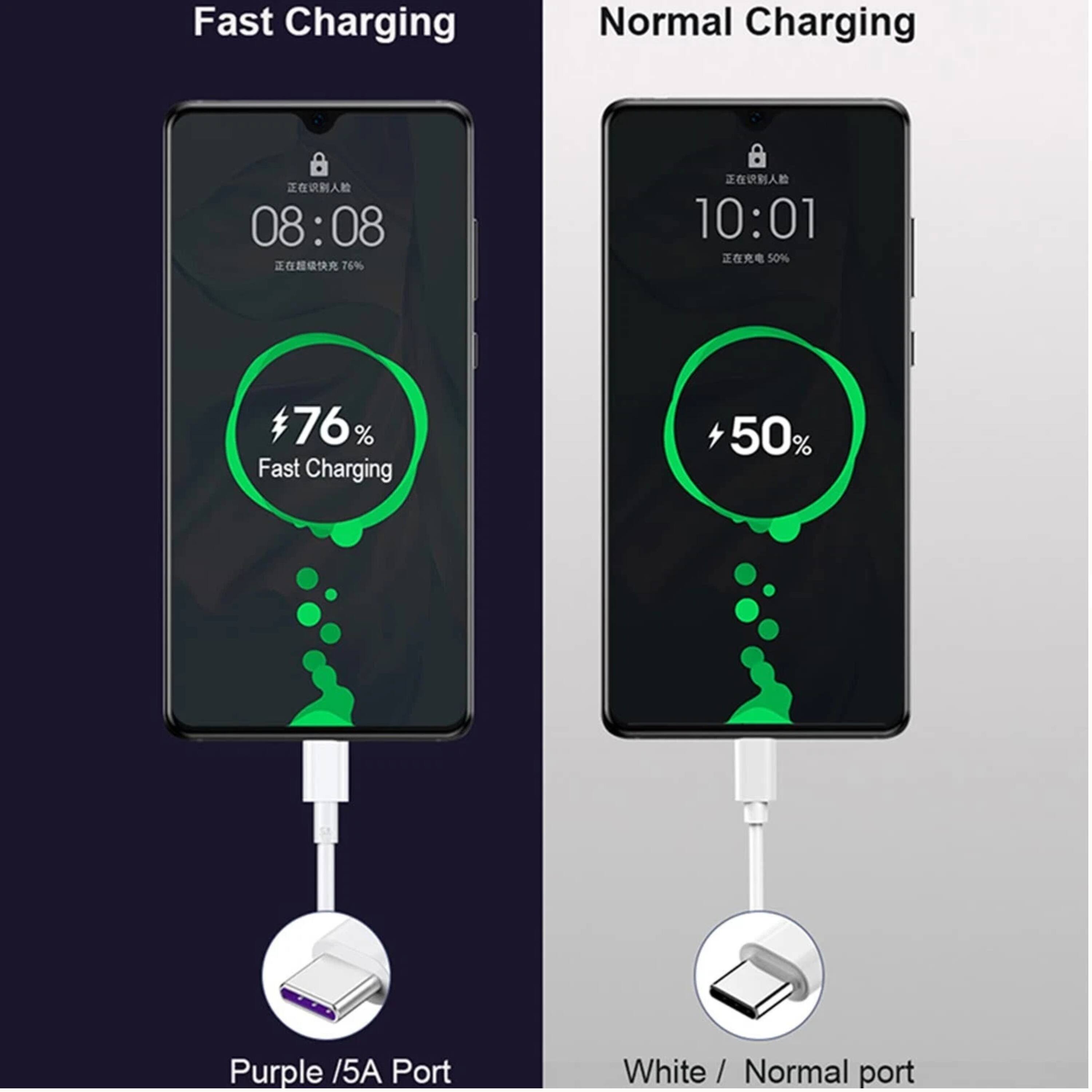 Fast Charging  
Normal Charging  

08:08  7%  
10:01  50%  

76% Fast Charging  

Purple / 5A Port  
White / Normal port