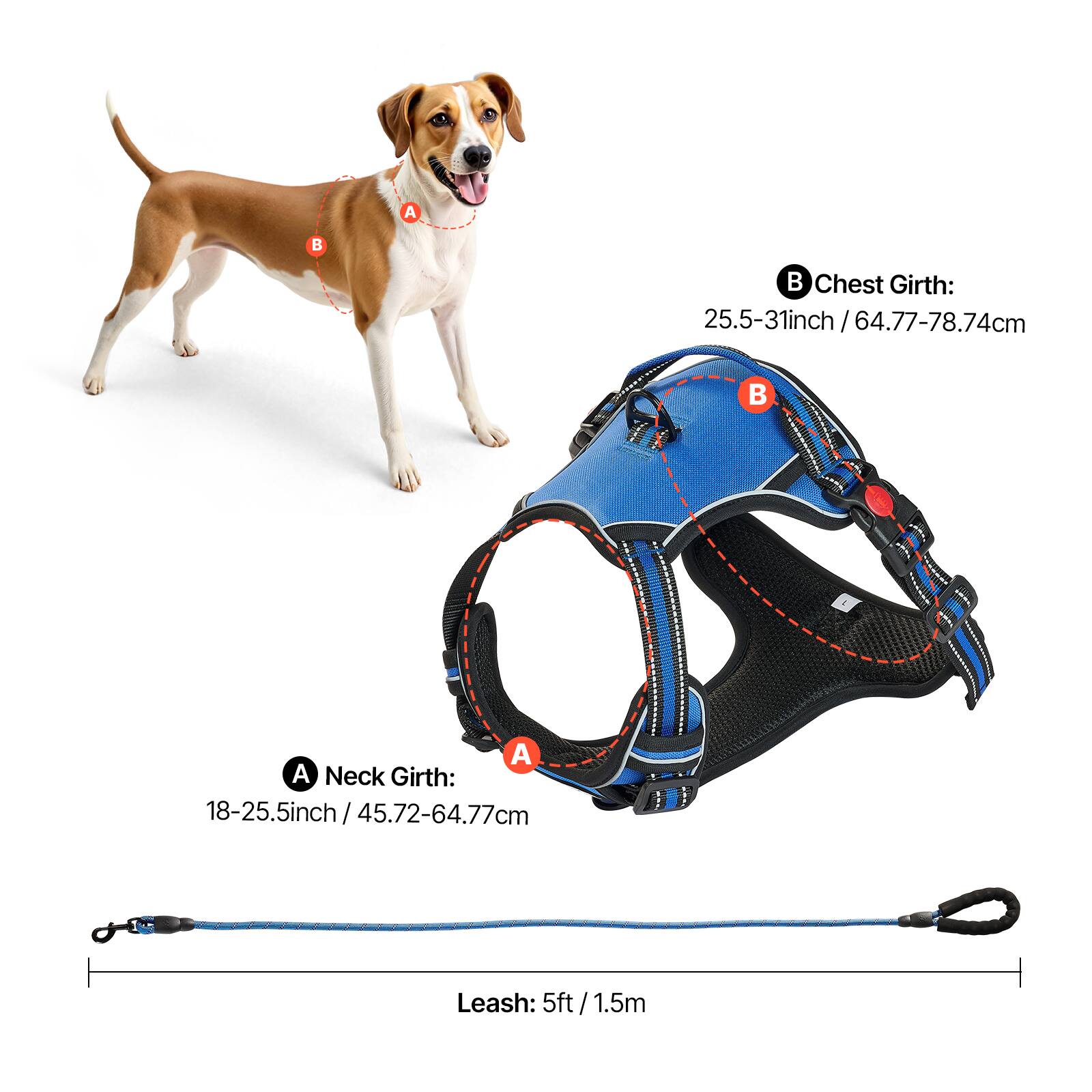- **Chest Girth:** 25.5-31 inch / 64.77-78.74 cm
- **Neck Girth:** 18-25.5 inch / 45.72-64.77 cm
- **Leash:** 5 ft / 1.5 m