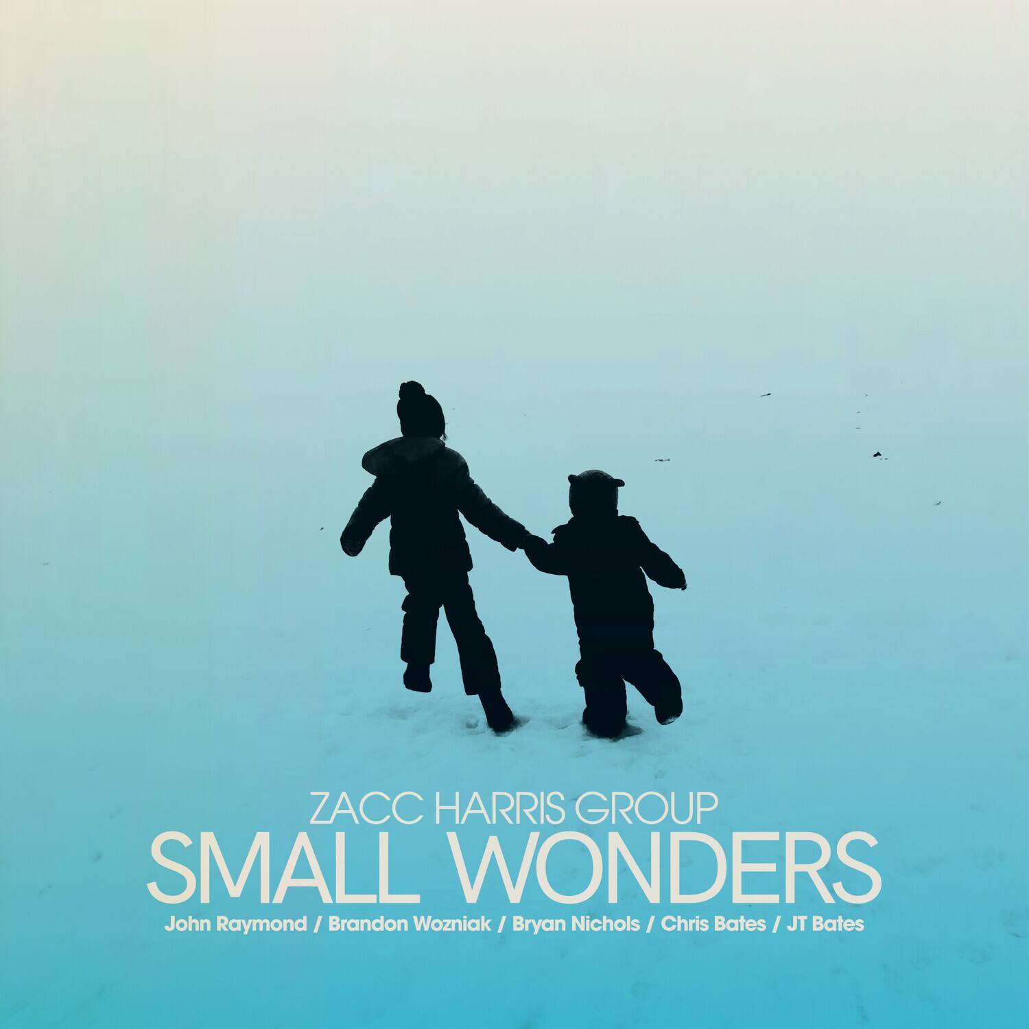 Zacc Harris Group - Small Wonders   - COMPACT DISCS [CD]