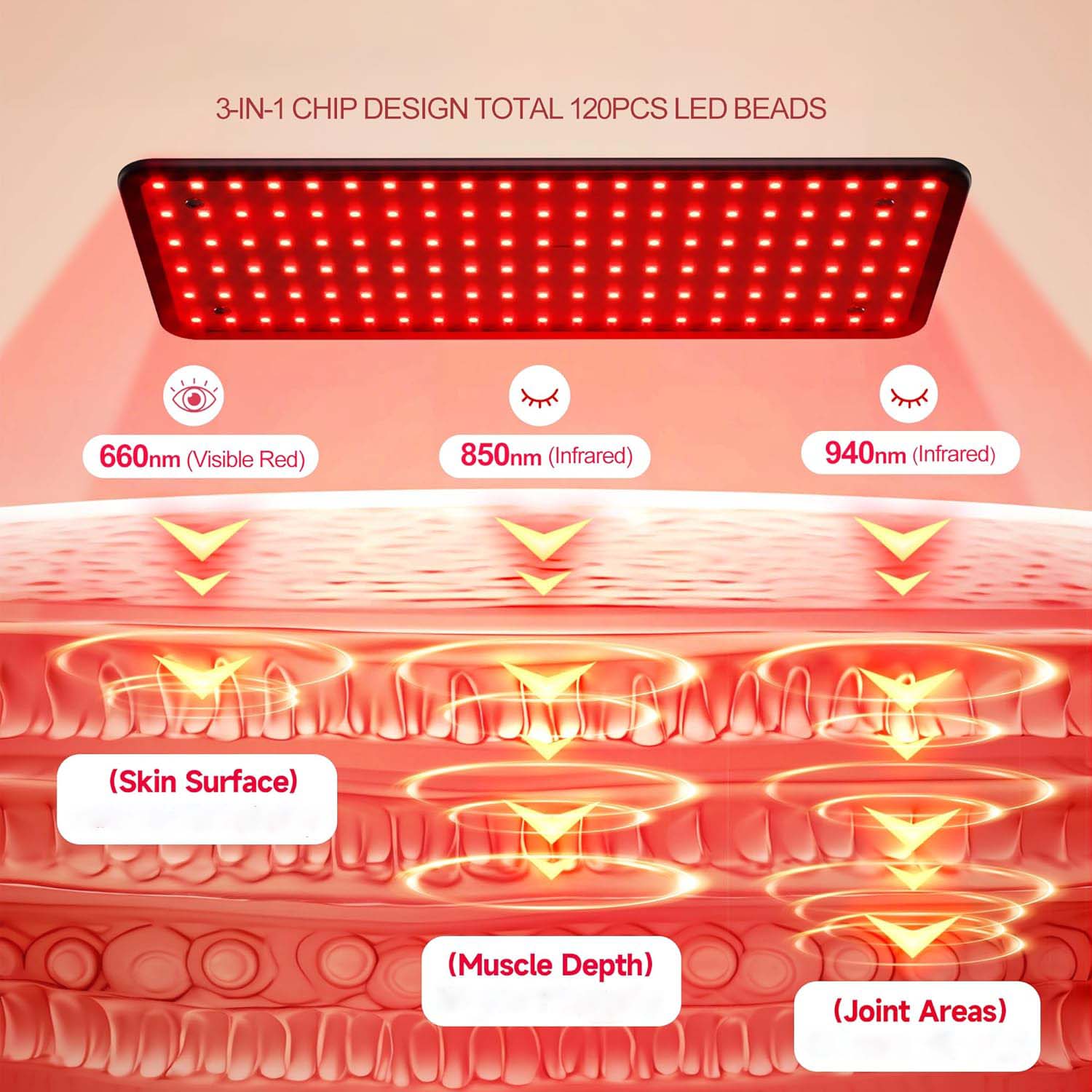 3-IN-1 CHIP DESIGN TOTAL 120PCS LED BEADS  
660nm (Visible Red)  
850nm (Infrared)  
940nm (Infrared)  
(Skin Surface)  
(Muscle Depth)  
(Joint Areas)