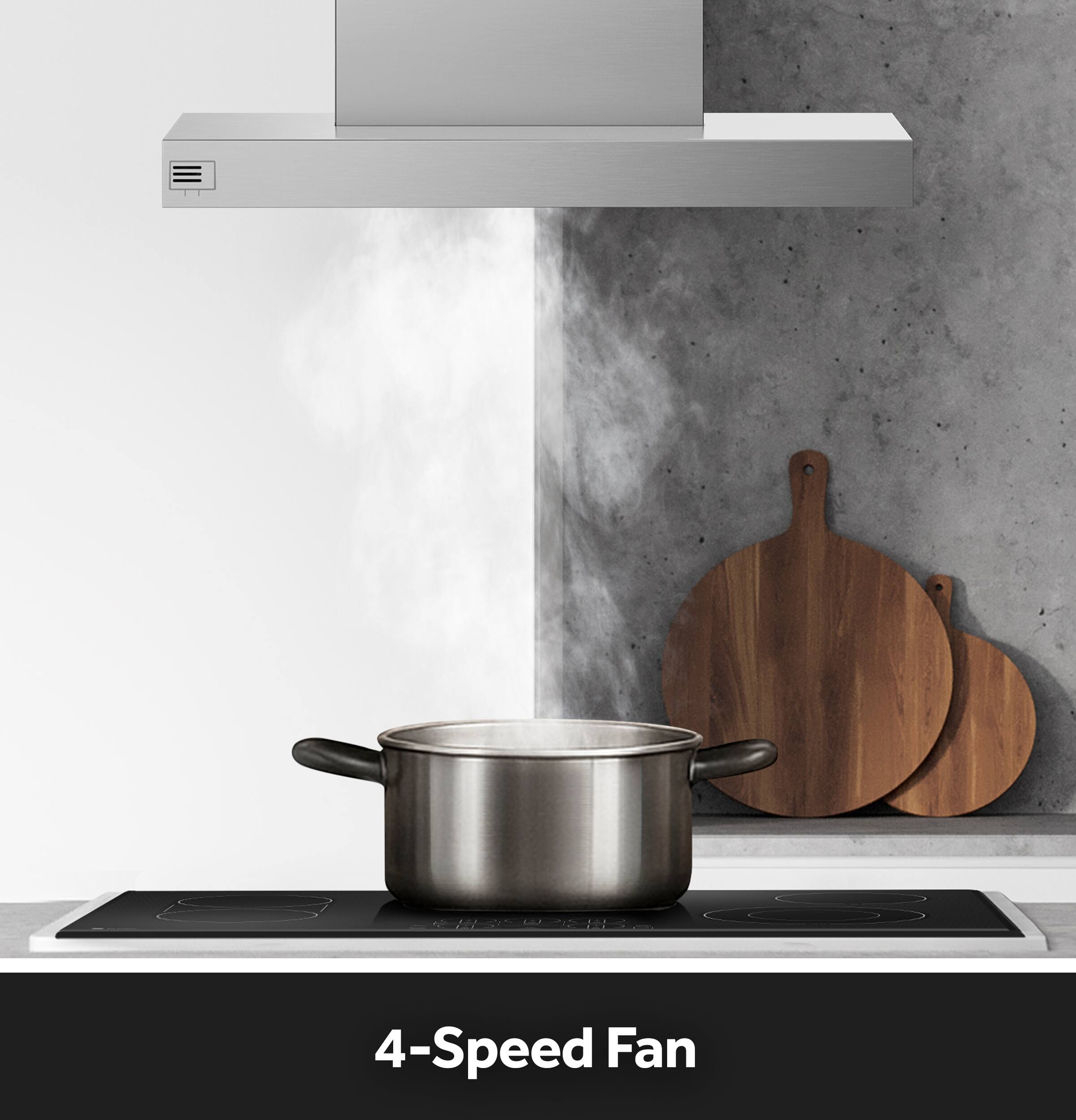 4-Speed Fan