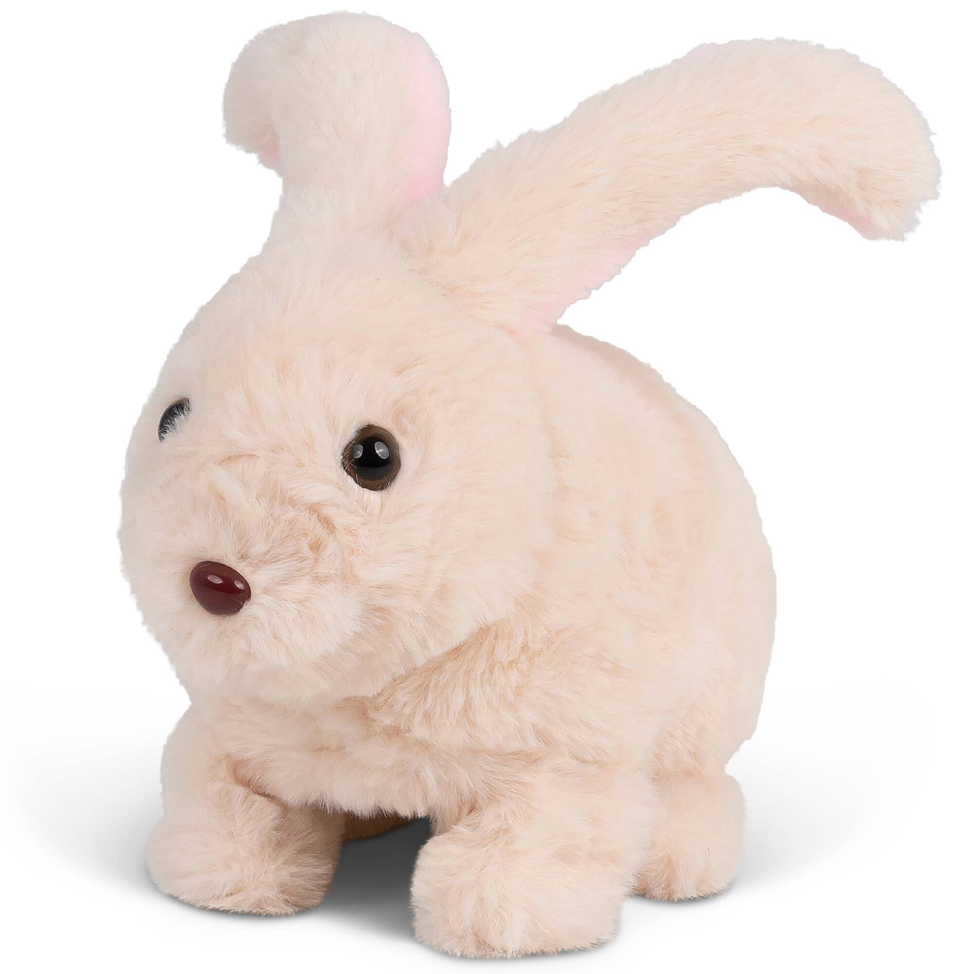 Front. One For Fun - Animigos: Bouncing Bunny Rabbit.
