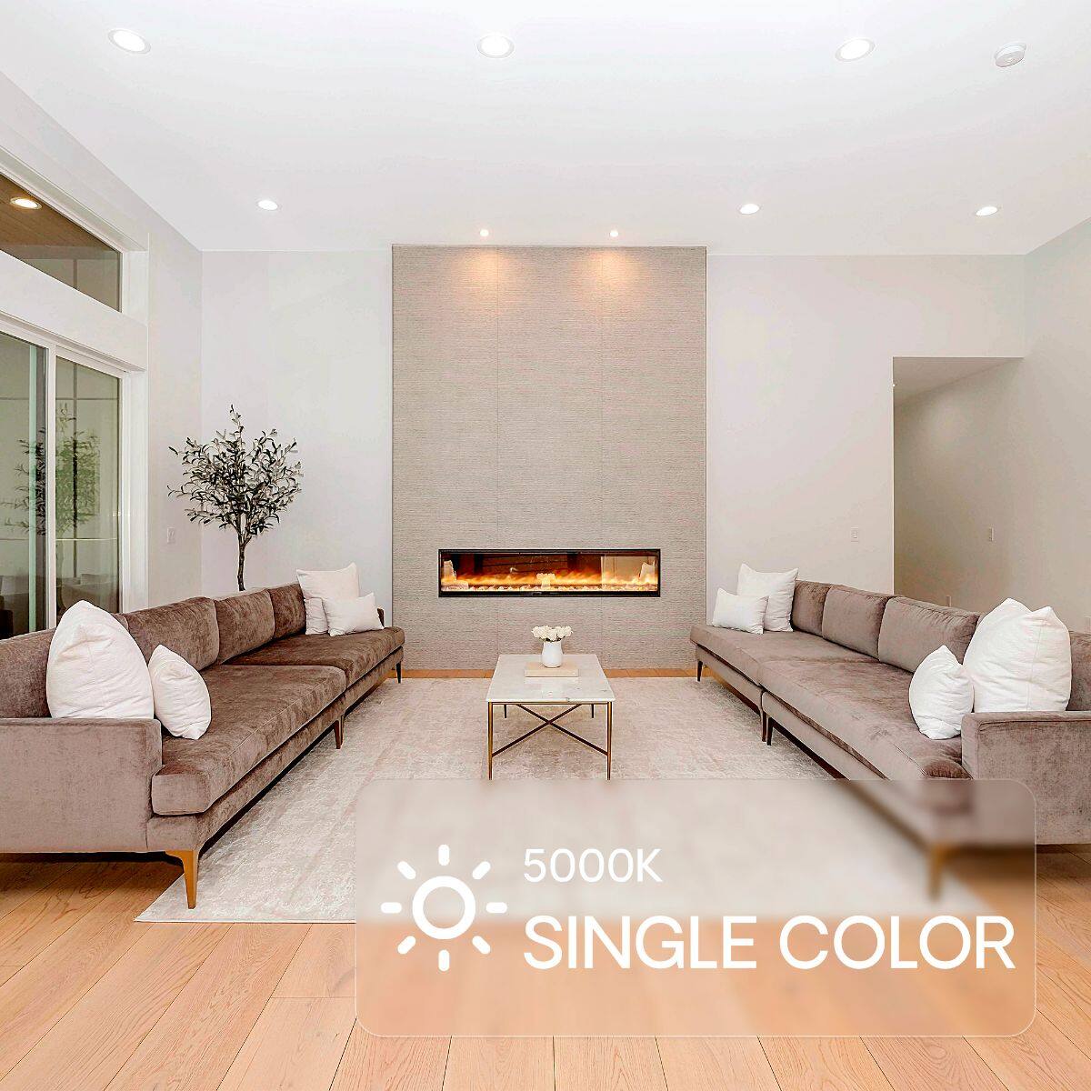 5000K SINGLE COLOR