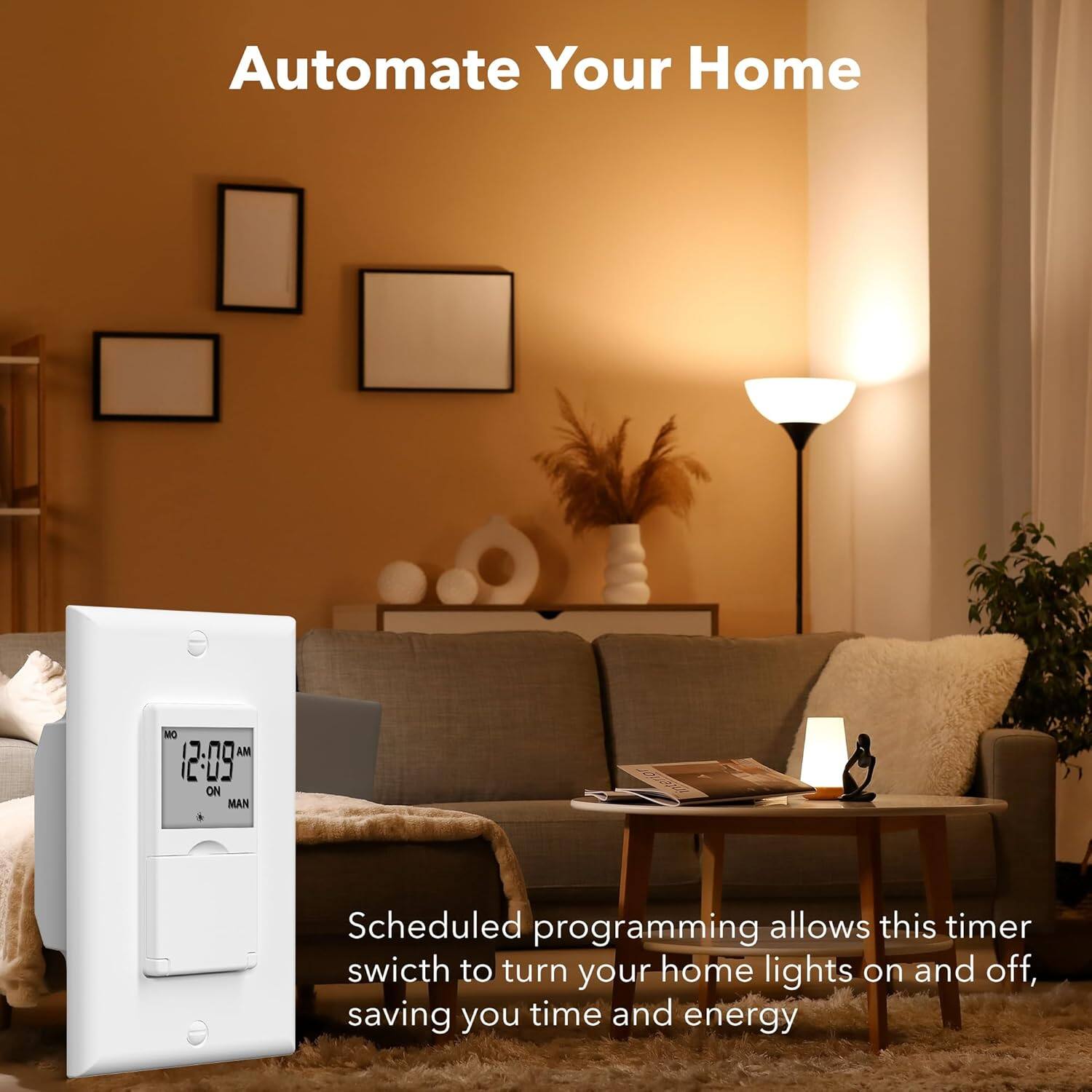 Automate Your Home

Scheduled programming allows this timer switch to turn your home lights on and off, saving you time and energy.