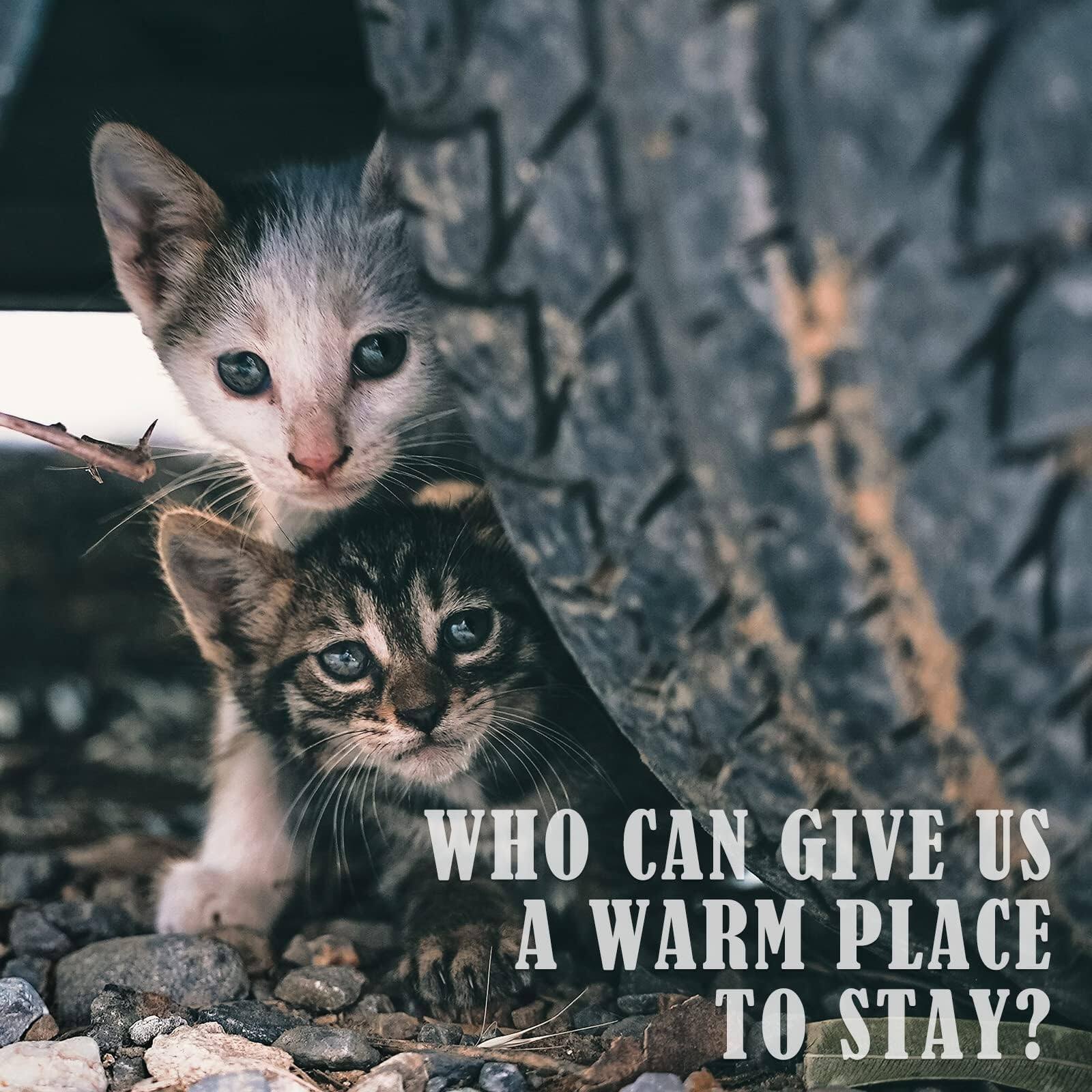 WHO CAN GIVE US A WARM PLACE TO STAY?