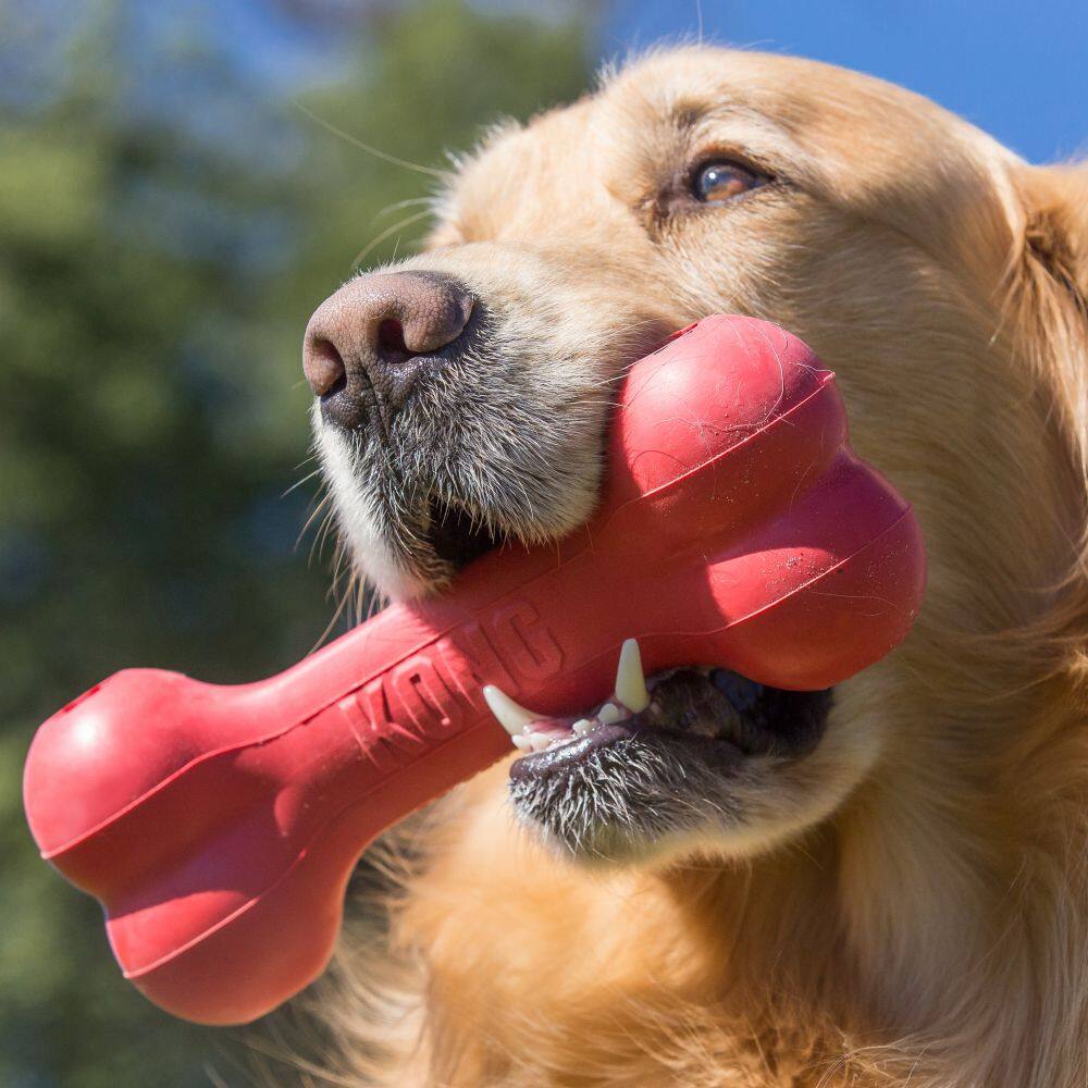 Left. KONG - Kong Goodie Bone Dog Toy in Medium: 15-35 lbs - Red.