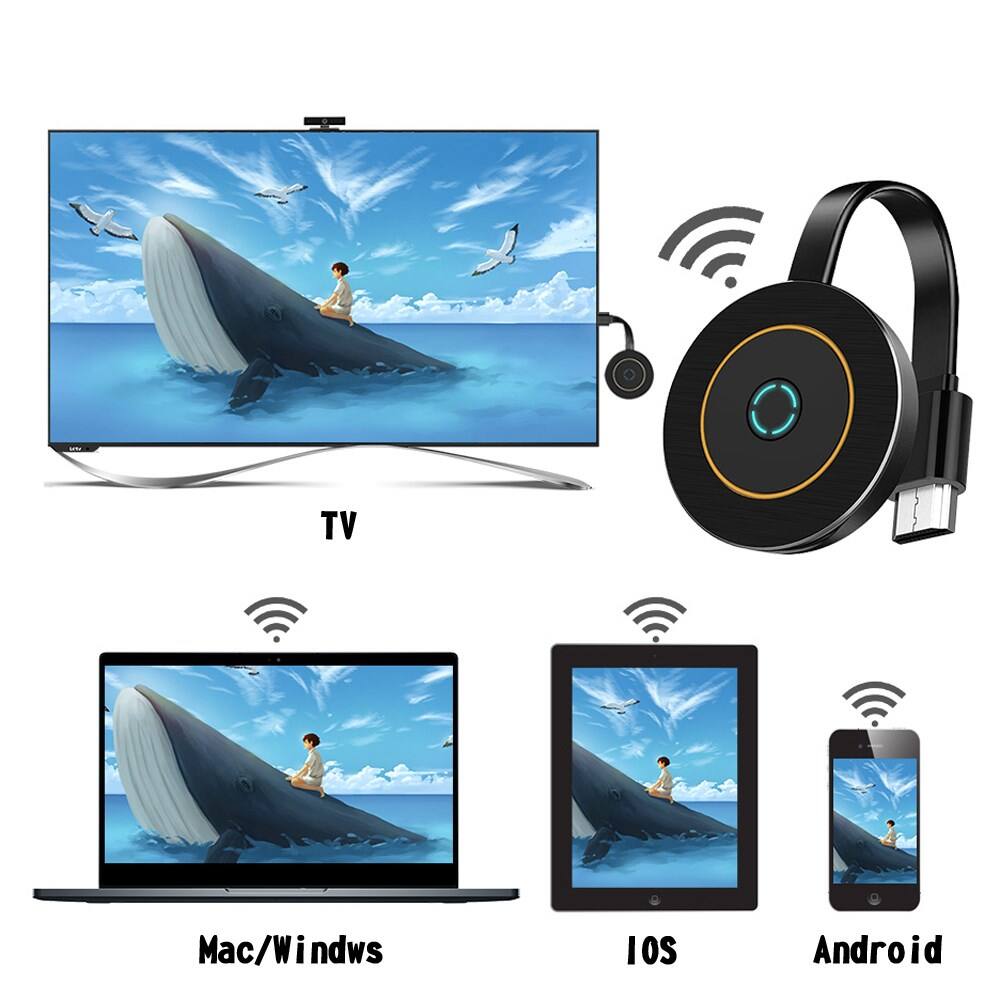 TV  
Mac/Windows  
iOS  
Android