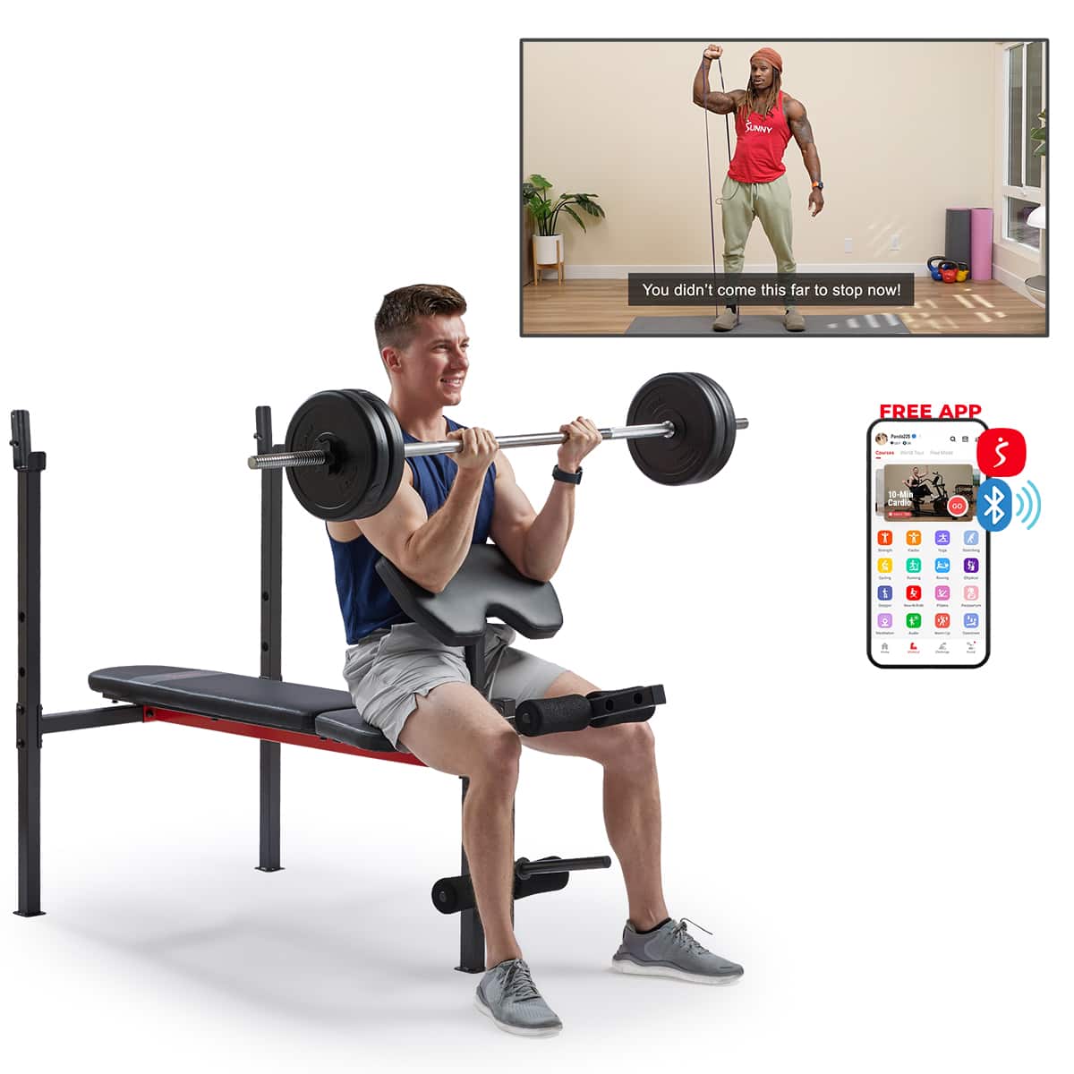 Sunny Health & Fitness - Adjustable Multi-Function Standard Incline Weight Bench - Dark Gray price history on PriceWatchPro