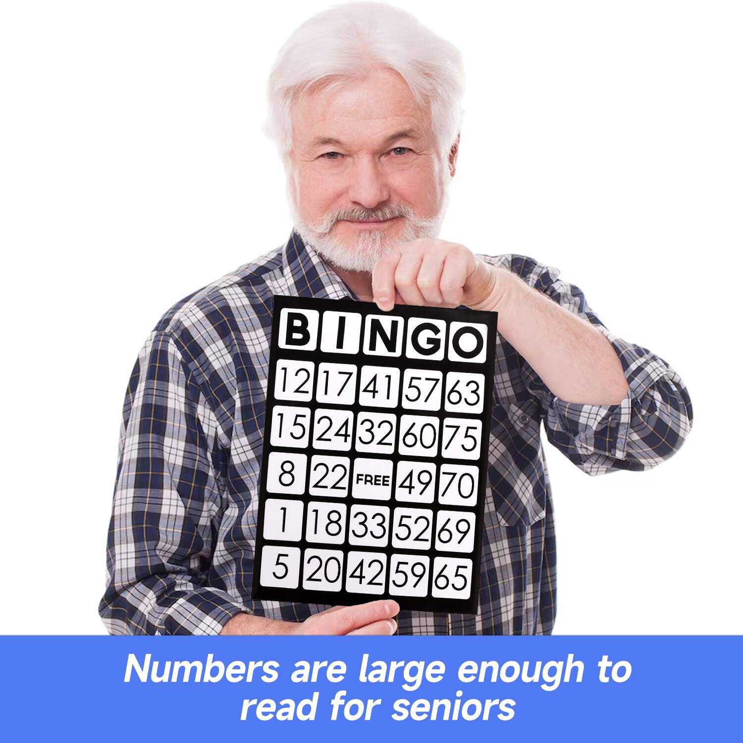 BINGO
12 17 41 57 63
15 24 32 60 75
8 22 FREE 49 70
1 18 33 52 69
5 20 42 59 65
Numbers are large enough to read for seniors