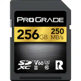 Prograde Digital - SDXC UHS-II U3 Class 10 V60 - 256GB, Card Only