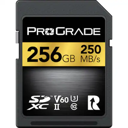PRO GRADE 256 GB 250 MB/s
SD™ V60 XC II
