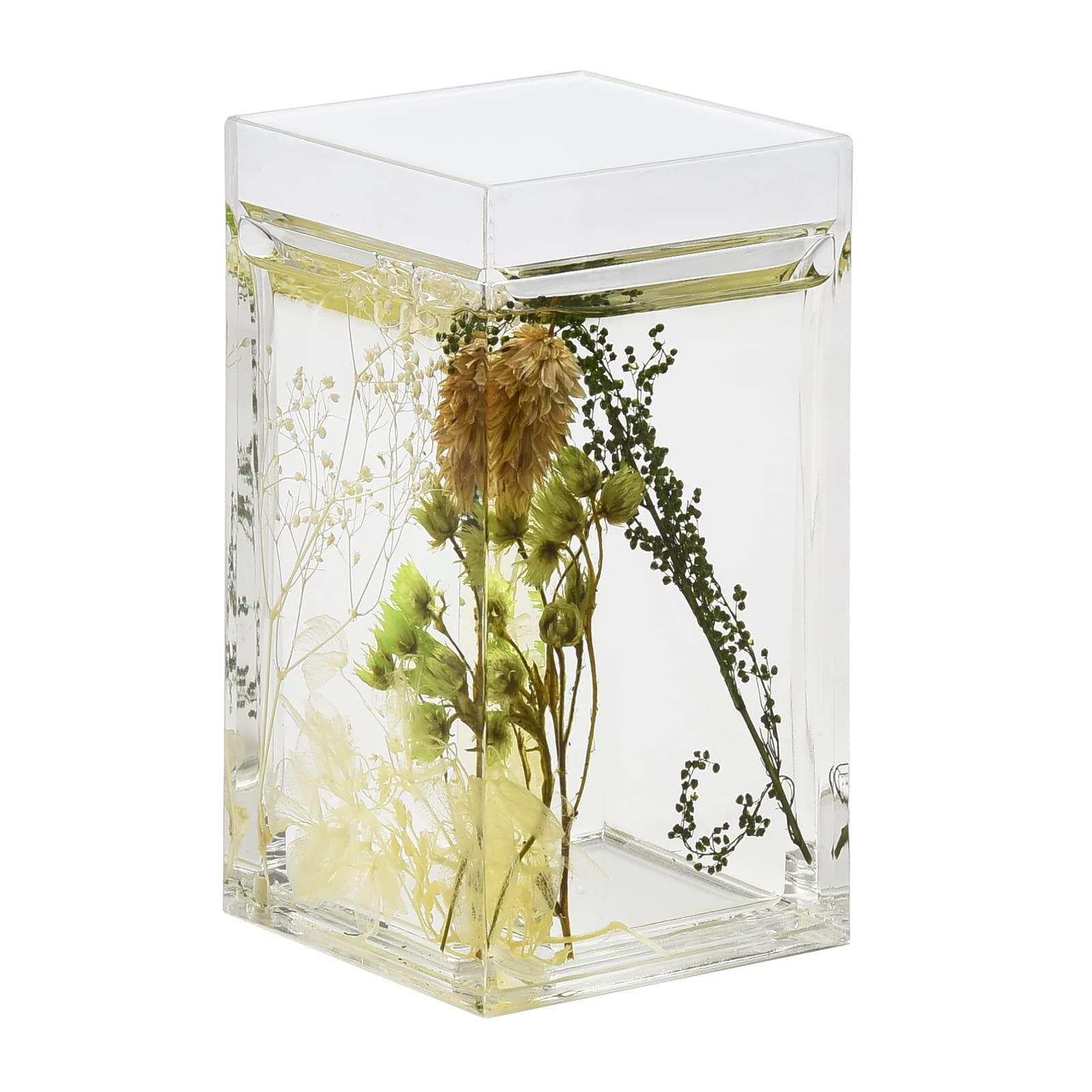 Left. Earthley Blooms - Piece Liquid d Floating Motion Bathroom Vanity Accessory Set Garden Botanic Toothbrush Holder Tumbler Soap - 1-piece Conch.