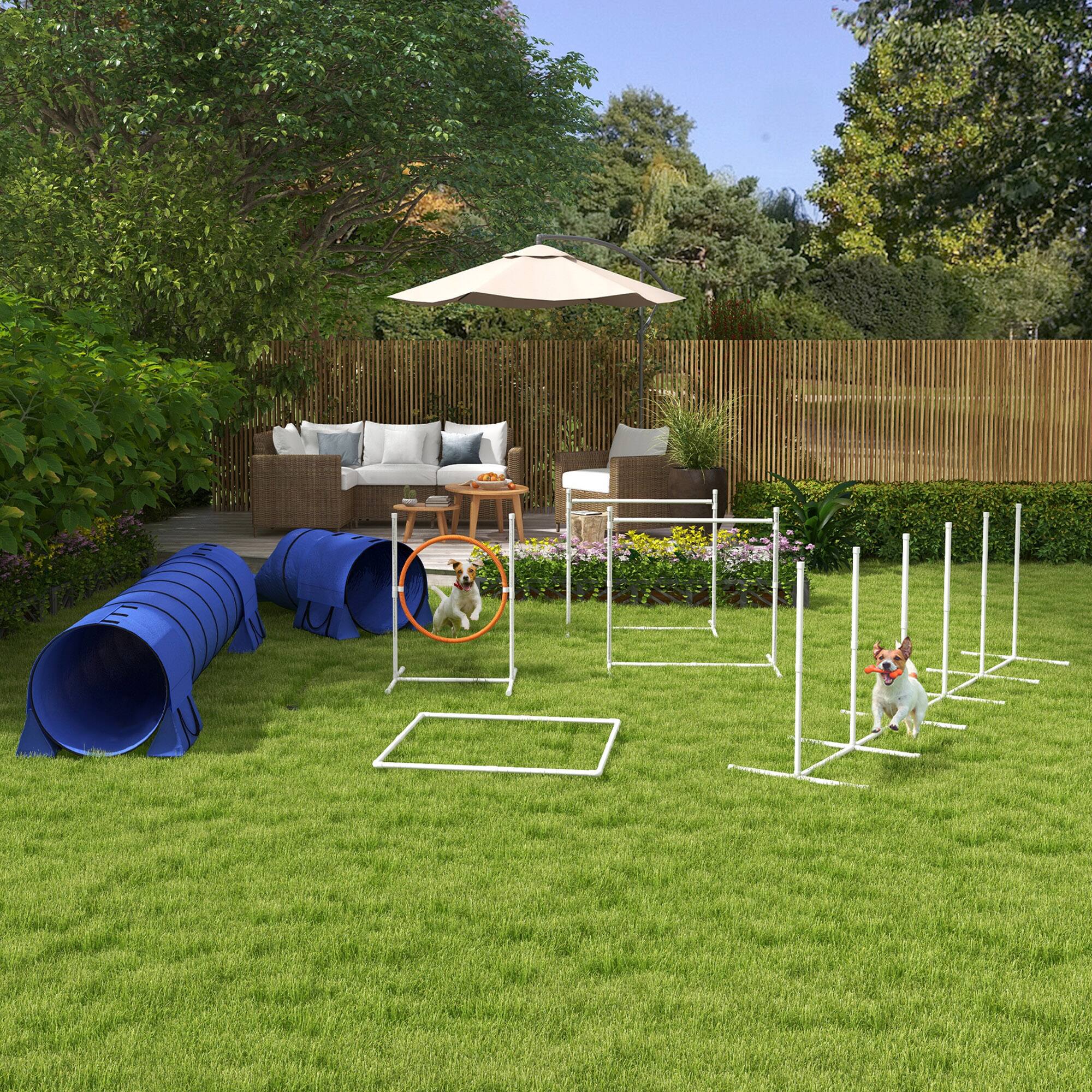 Angle. Pawhut - 7 Piece Dog Agility Equipment, Starter Kit, Tunnels, Weave Poles, Hurdles, Ring, Pause Box, Whistle - Blue.