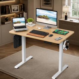 RYHNUYNE - Adjustable Electric Standing Desk, 40 x 24 inch Sit Stand Home Office Desk, Carbon Steel Frame, Memory Control Panel - Natural