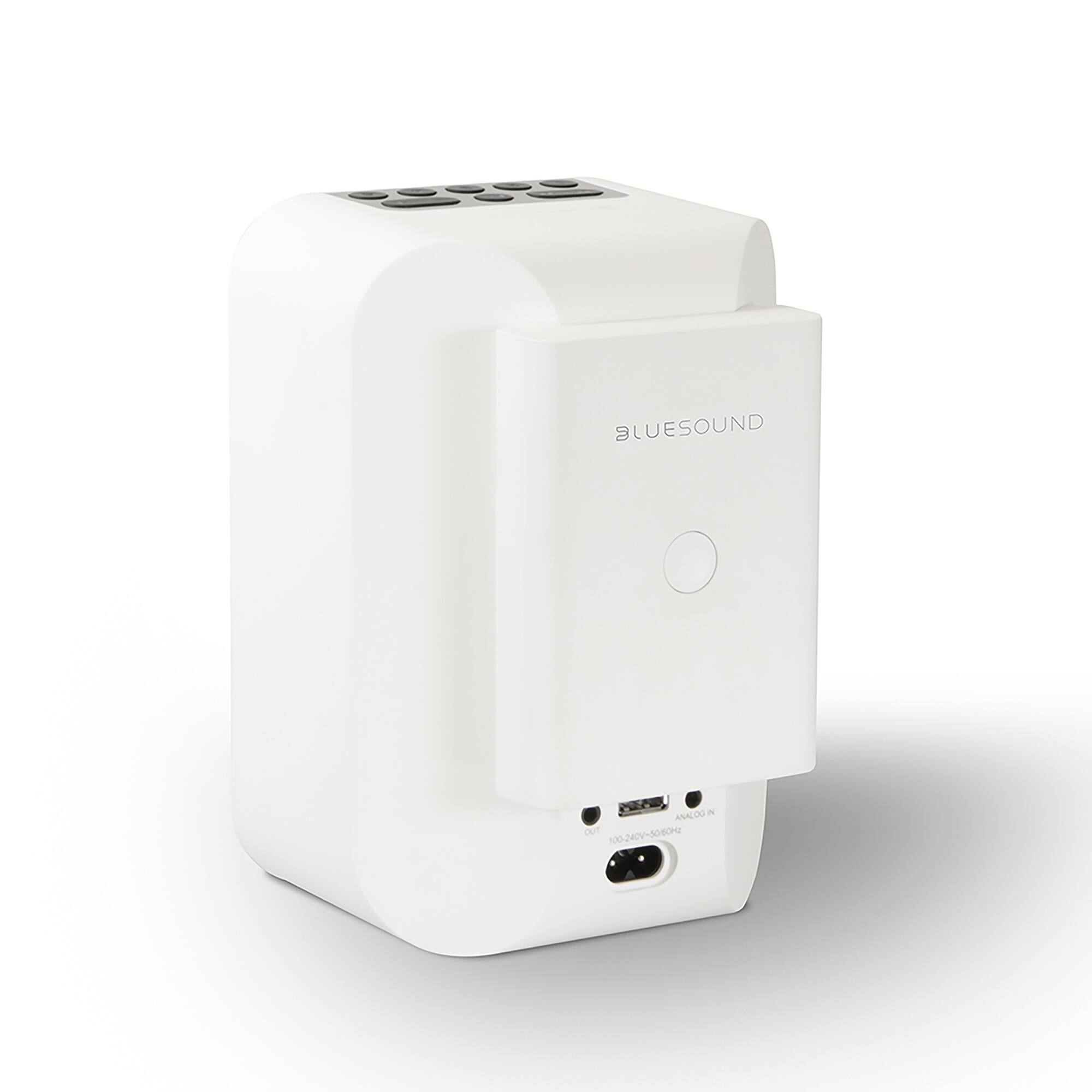 The text on the image reads "BLUESOUND ANALOG in OUT 100240V-5060H." This is a description of a product that has an analog input and output. The product is designed by Bluesound, and it is likely used for audio or video purposes.