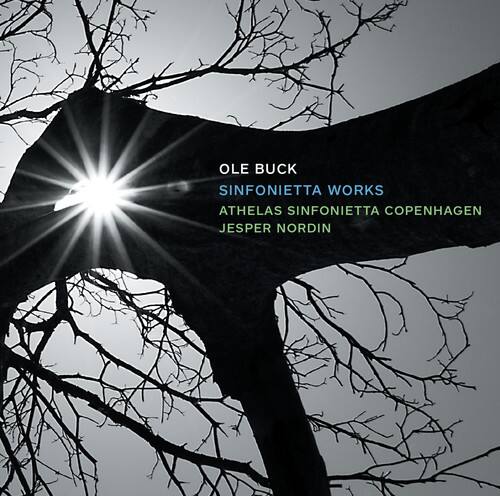 Buck / Athelas Sinfonietta Copenhagen - Ole Buck: Sinfonietta Works   - COMPACT DISCS [CD] price history on PriceWatchPro