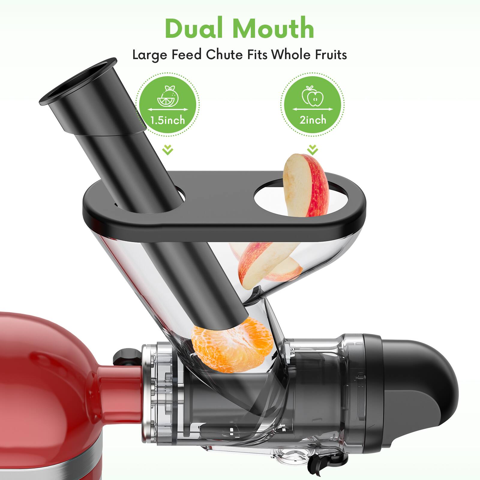 Dual Mouth  
Large Feed Chute Fits Whole Fruits  
1.5 inch  
2 inch