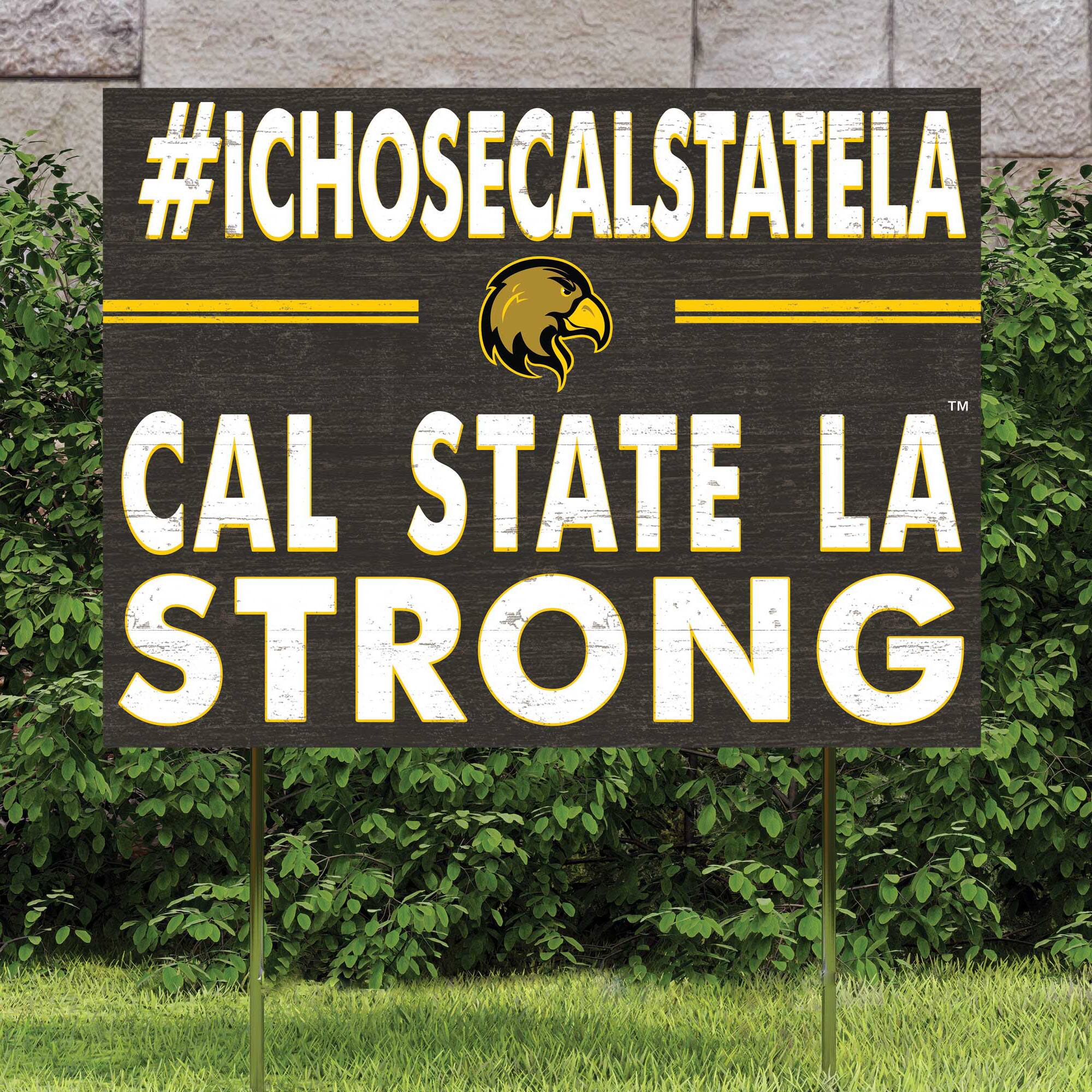 #ICHOOSECALSTATELA  
CAL STATE LA  
STRONG