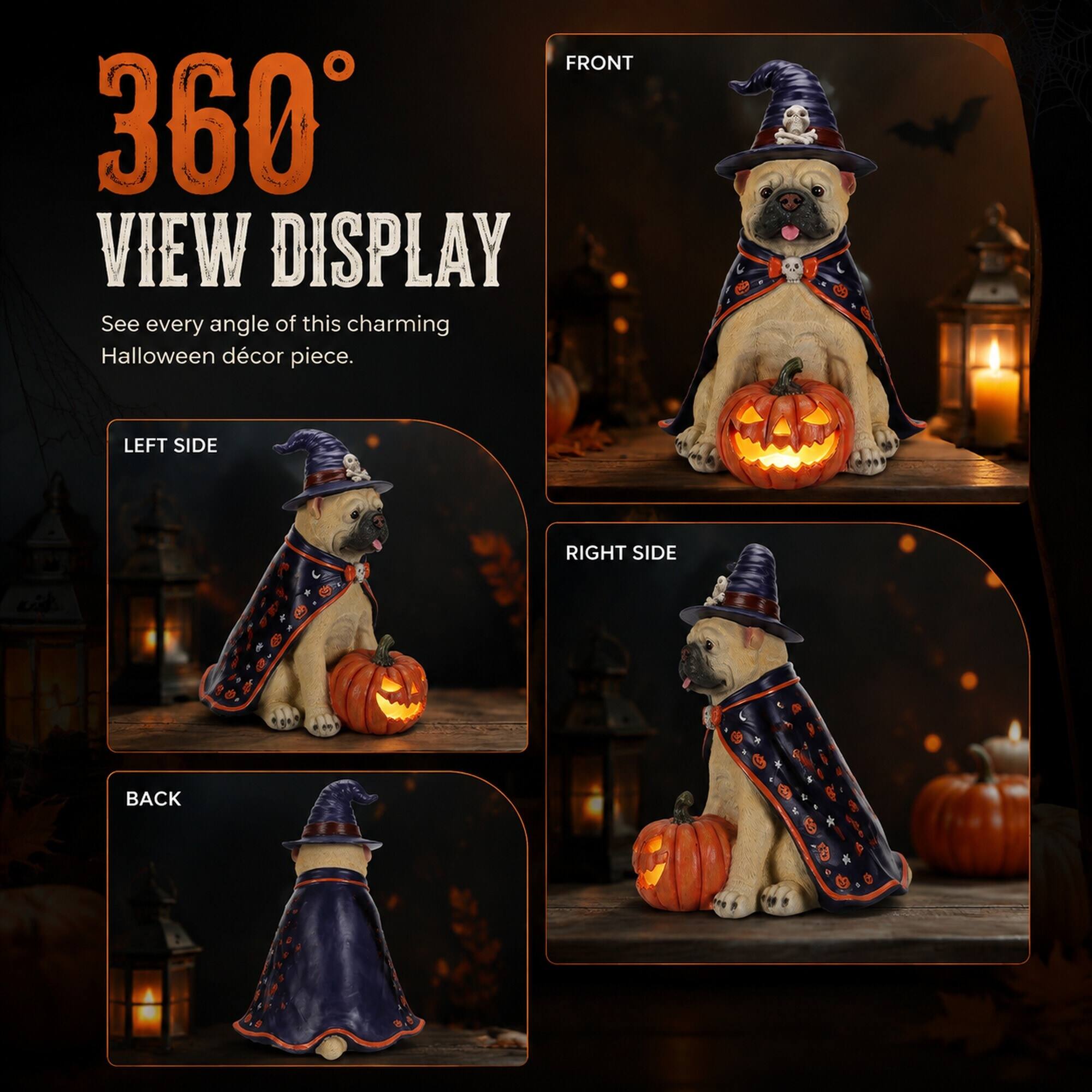 360° VIEW DISPLAY  
See every angle of this charming Halloween décor piece.  

FRONT  
LEFT SIDE  
RIGHT SIDE  
BACK