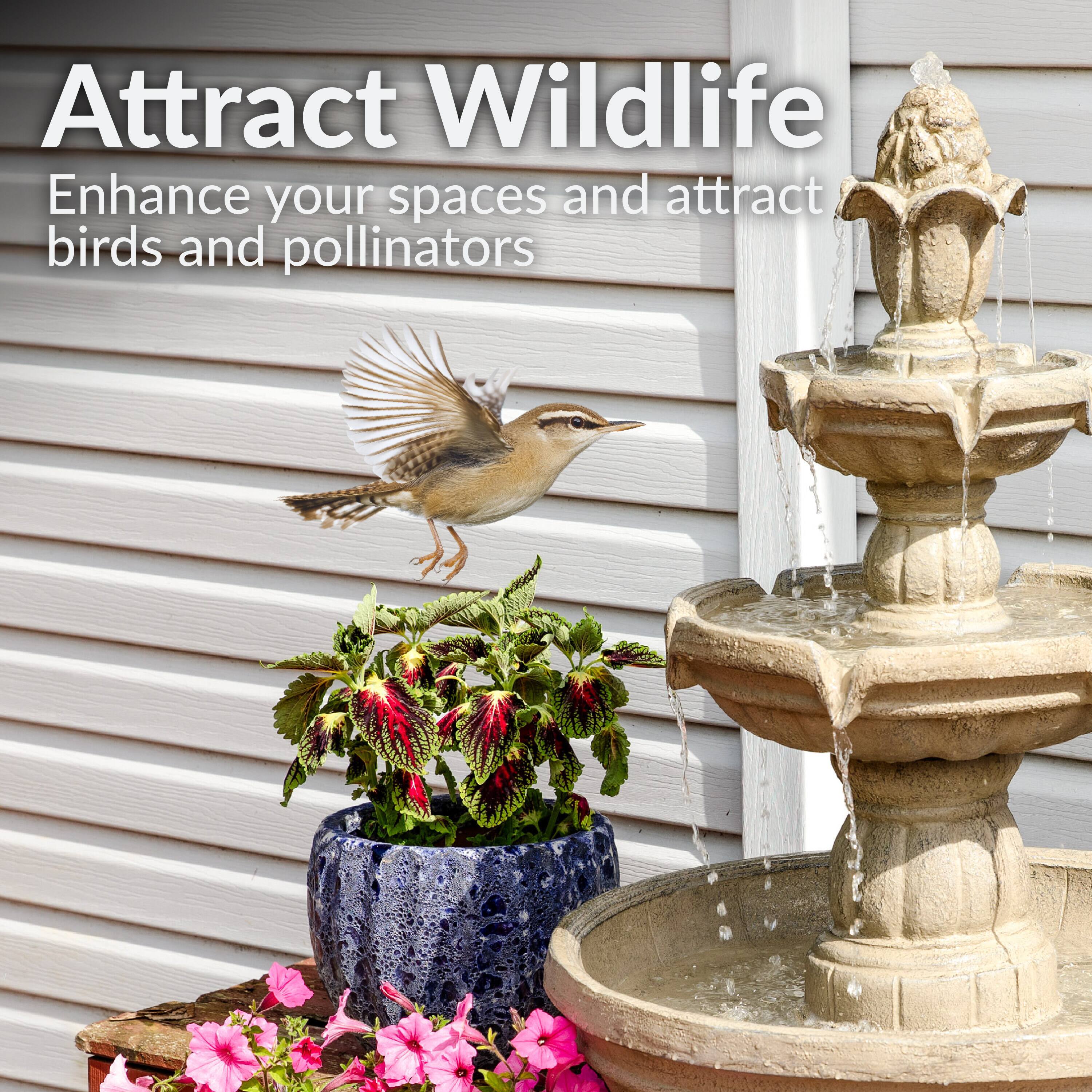 Attract Wildlife  
Enhance your spaces and attract birds and pollinators
